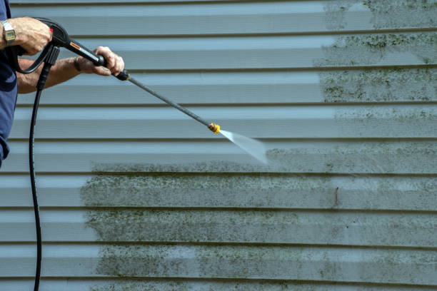 Best Pressure Washing Siding  in Napoleon, OH
