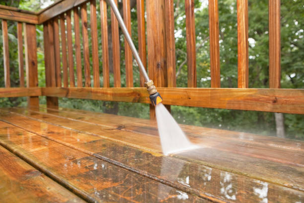 Best Roof Power Washing Services  in Napoleon, OH