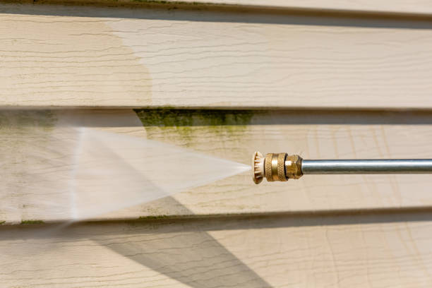 Best Pressure Washing Driveway  in Napoleon, OH